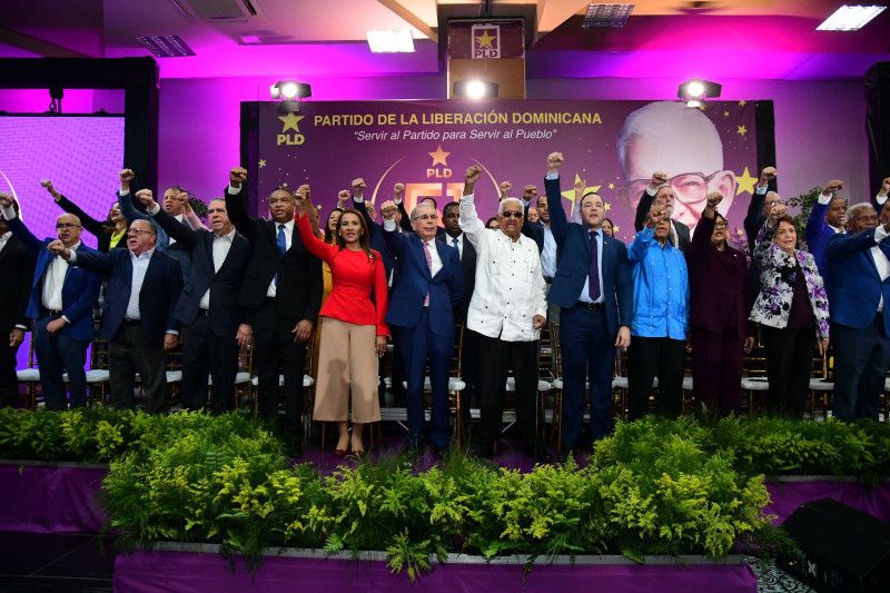 La “consulta” del PLD otra vez en el centro del debate político
