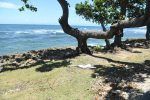 Encuentran cuerpo de mujer en las aguas del Malecón de Santo Domingo