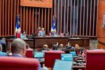 A menos de un mes para que concluya legislatura, senadores esperan aprobar reforma policial