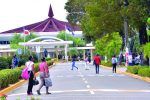 Mescyt retira becas a más de 600 estudiantes de la UASD por incumplimiento académico