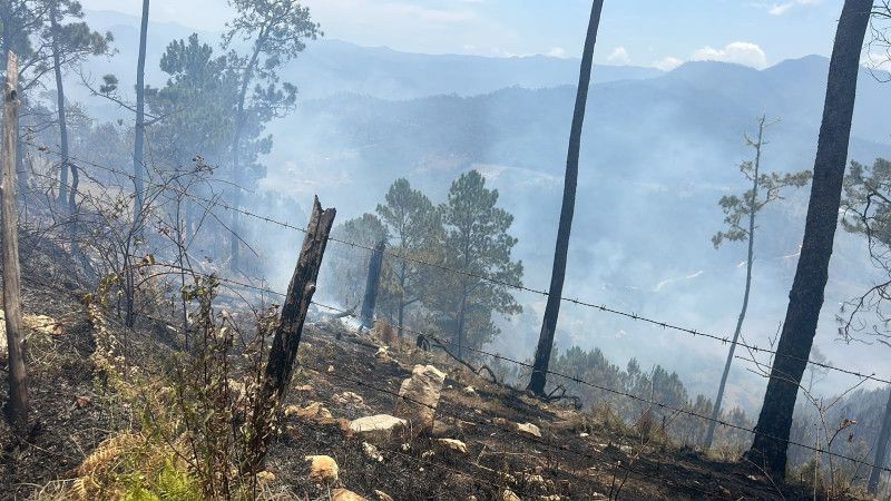Autoridades de Medio Ambiente en Ocoa identifican a los causantes de incendios forestales Autoridades de Medio Ambiente en Ocoa identifican a los causantes de incendios forestales