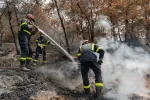 Francia enfrenta incendios históricos: 115,000 hectáreas arrasadas