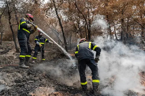 Francia enfrenta incendios históricos: 115,000 hectáreas arrasadas
