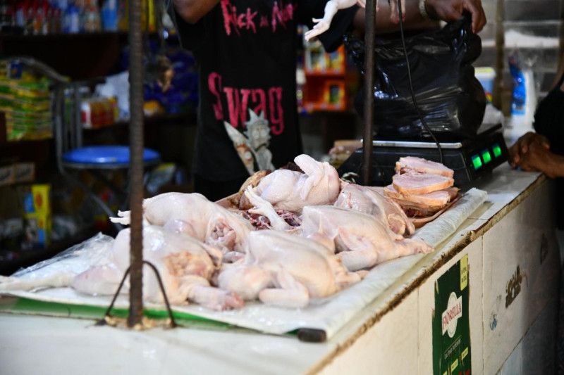 Brasil propone a RD apostar por nichos para impulsar exportaciones de carne