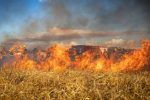 Estudio vincula cambio climático con incendios en Canadá