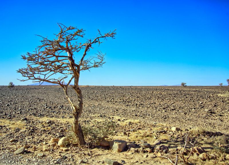El Niño se avecina, sus primeras señales ya se están sintiendo y será muy fuerte El Niño se avecina, sus primeras señales ya se están sintiendo y será muy fuerte
