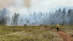 Brigadas combaten incendio forestal en Sierra de Bahoruco en medio de sequía y altas temperaturas
