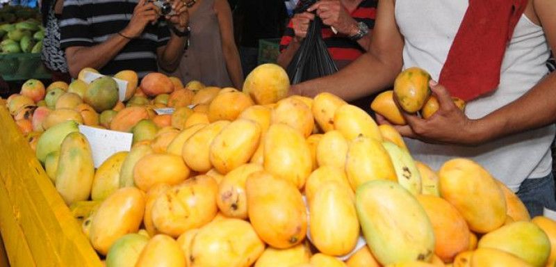 Así van los preparativos para reanudar exportación de mangos a EEUU, según Agricultura