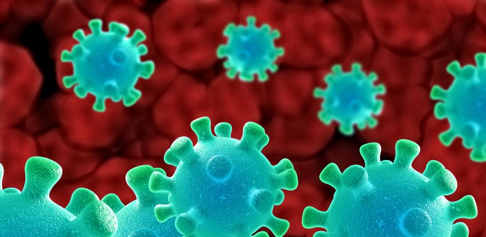 Reportan la primera muerte en un humano por el virus Shamonda