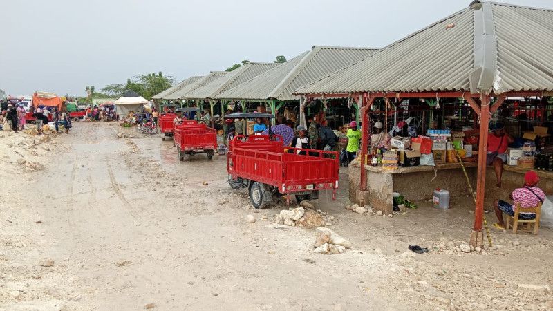 Empresarios de RD pagan hasta US$5,000 a bandas haitianas para cruzar mercancías, revela Iván García