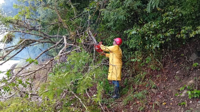 Lluvias empeoran caminos y carreteras; provocan caída de árboles en Ocoa