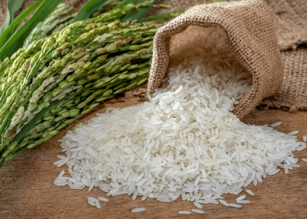 Economista afirma que producir arroz en el país es 33% más caro que en Estados Unidos Economista afirma que producir arroz en el país es 33% más caro que en Estados Unidos